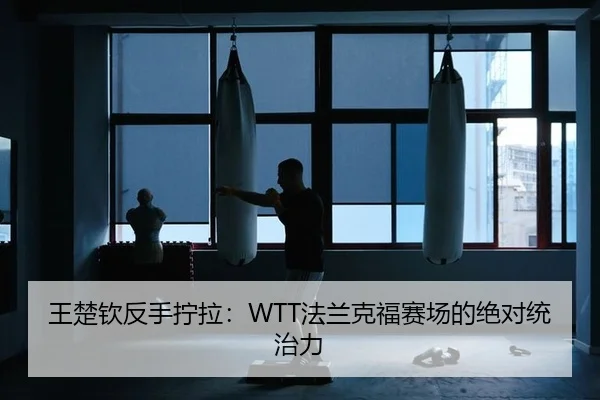王楚钦反手拧拉：WTT法兰克福赛场的绝对统治力